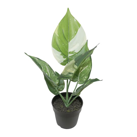 11&#x22; Potted Green Pothos Plant by Ashland&#xAE;